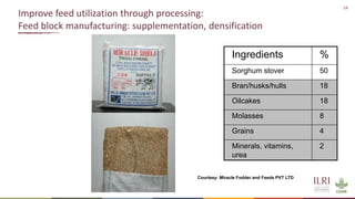 Winning solutions for climate-smart dairy animal nutrition in India