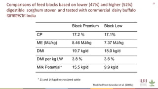 Winning solutions for climate-smart dairy animal nutrition in India