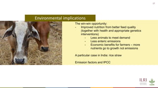 Winning solutions for climate-smart dairy animal nutrition in India