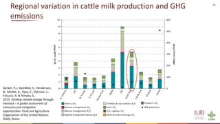 Winning solutions for climate-smart dairy animal nutrition in India