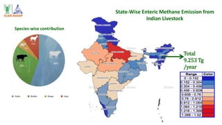 Winning solutions for climate-smart dairy animal nutrition in India