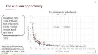 Winning solutions for climate-smart dairy animal nutrition in India
