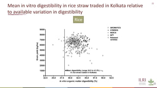 Winning solutions for climate-smart dairy animal nutrition in India