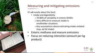Winning solutions for climate-smart dairy animal nutrition in India