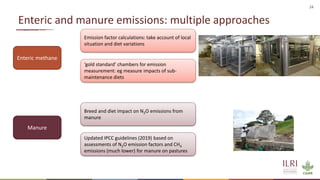 Winning solutions for climate-smart dairy animal nutrition in India