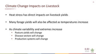 Winning solutions for climate-smart dairy animal nutrition in India