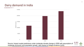 Winning solutions for climate-smart dairy animal nutrition in India