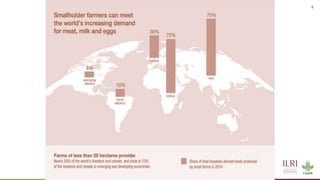 Winning solutions for climate-smart dairy animal nutrition in India
