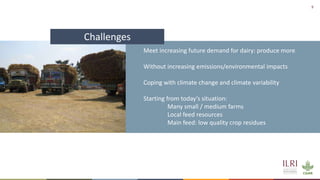 Winning solutions for climate-smart dairy animal nutrition in India