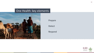 The One Health research-for-development agenda: Enhance holistic health of people, animals and environment