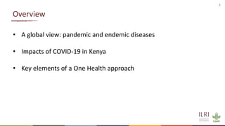 The One Health research-for-development agenda: Enhance holistic health of people, animals and environment