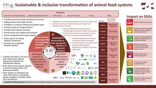 Sustainable and inclusive transformation of animal food systems