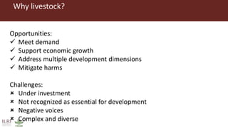 Sustainable and inclusive transformation of animal food systems