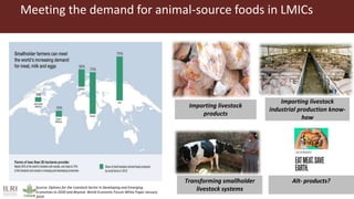 Sustainable and inclusive transformation of animal food systems