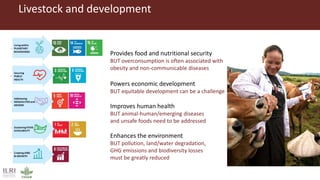 Sustainable and inclusive transformation of animal food systems