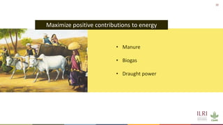 Energy and dairy in India: Opportunities in the context of demand