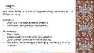 Energy and dairy in India: Opportunities in the context of demand