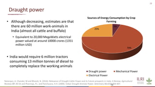 Energy and dairy in India: Opportunities in the context of demand