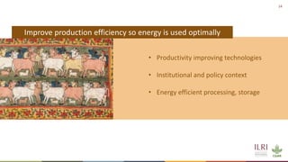 Energy and dairy in India: Opportunities in the context of demand
