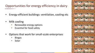 Energy and dairy in India: Opportunities in the context of demand