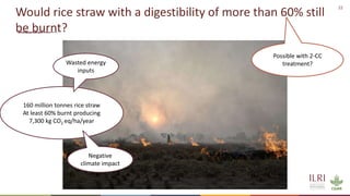 22
Would rice straw with a digestibility of more than 60% still
be burnt?
Possible with 2-CC
treatment?
160 million tonnes...