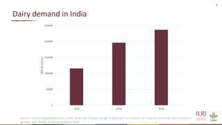 Energy and dairy in India: Opportunities in the context of demand