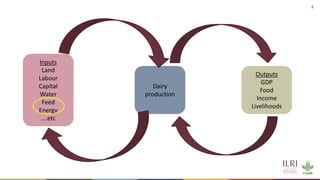 Energy and dairy in India: Opportunities in the context of demand