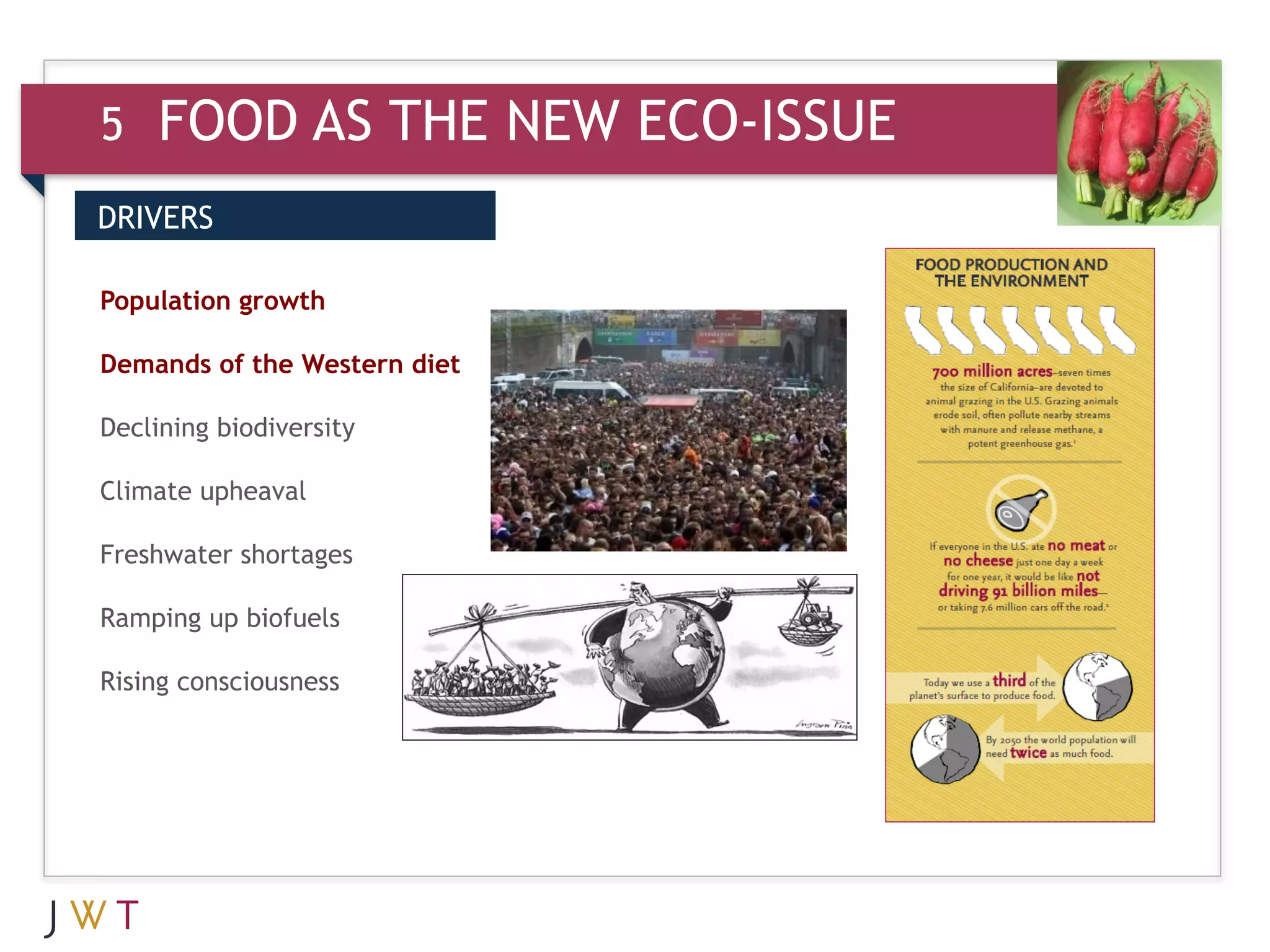 5    FOOD AS THE NEW ECO-ISSUE
DRIVERS


GO growth
Population

Demands of the Western diet

Declining biodiversity

Climate upheaval

Freshwater shortages

Ramping up biofuels

Rising consciousness
 