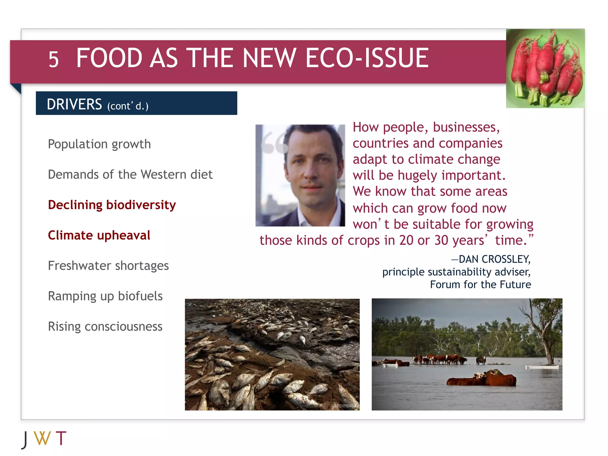 5   FOOD AS THE NEW ECO-ISSUE
DRIVERS   (cont’d.)

                                              How people, businesses,
GO growth
Population                                    countries and companies
                                              adapt to climate change
Demands of the Western diet                   will be hugely important.
                                              We know that some areas
Declining biodiversity                        which can grow food now
                                              won’t be suitable for growing
Climate upheaval              those kinds of crops in 20 or 30 years’ time.”
                                                                 —DAN CROSSLEY,
Freshwater shortages                              principle sustainability adviser,
                                                             Forum for the Future
Ramping up biofuels

Rising consciousness
 