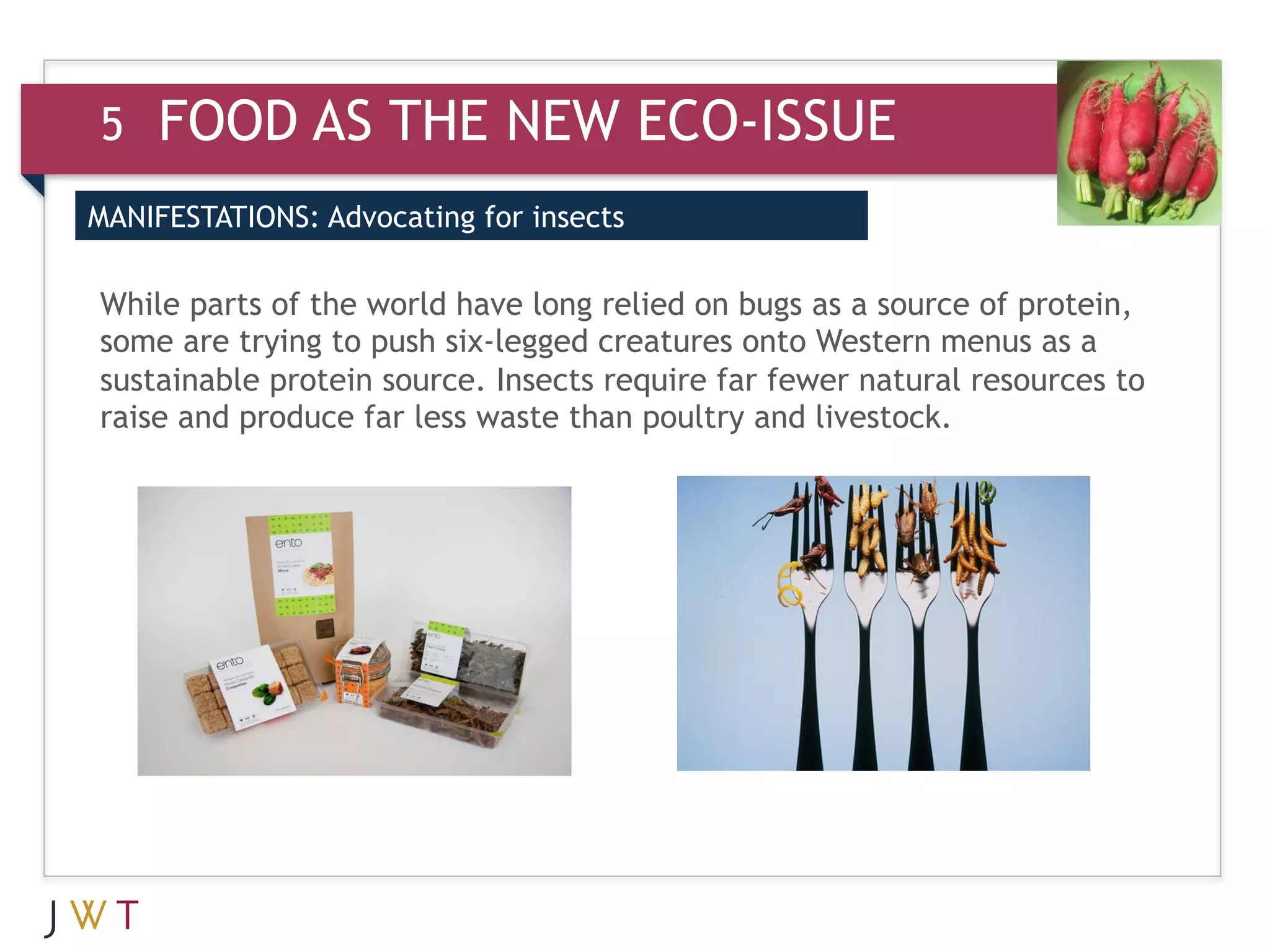 5   FOOD AS THE NEW ECO-ISSUE
MANIFESTATIONS: Advocating for insects

While parts of the world have long relied on bugs as a source of protein,
some are trying to push six-legged creatures onto Western menus as a
sustainable protein source. Insects require far fewer natural resources to
raise and produce far less waste than poultry and livestock.
 
