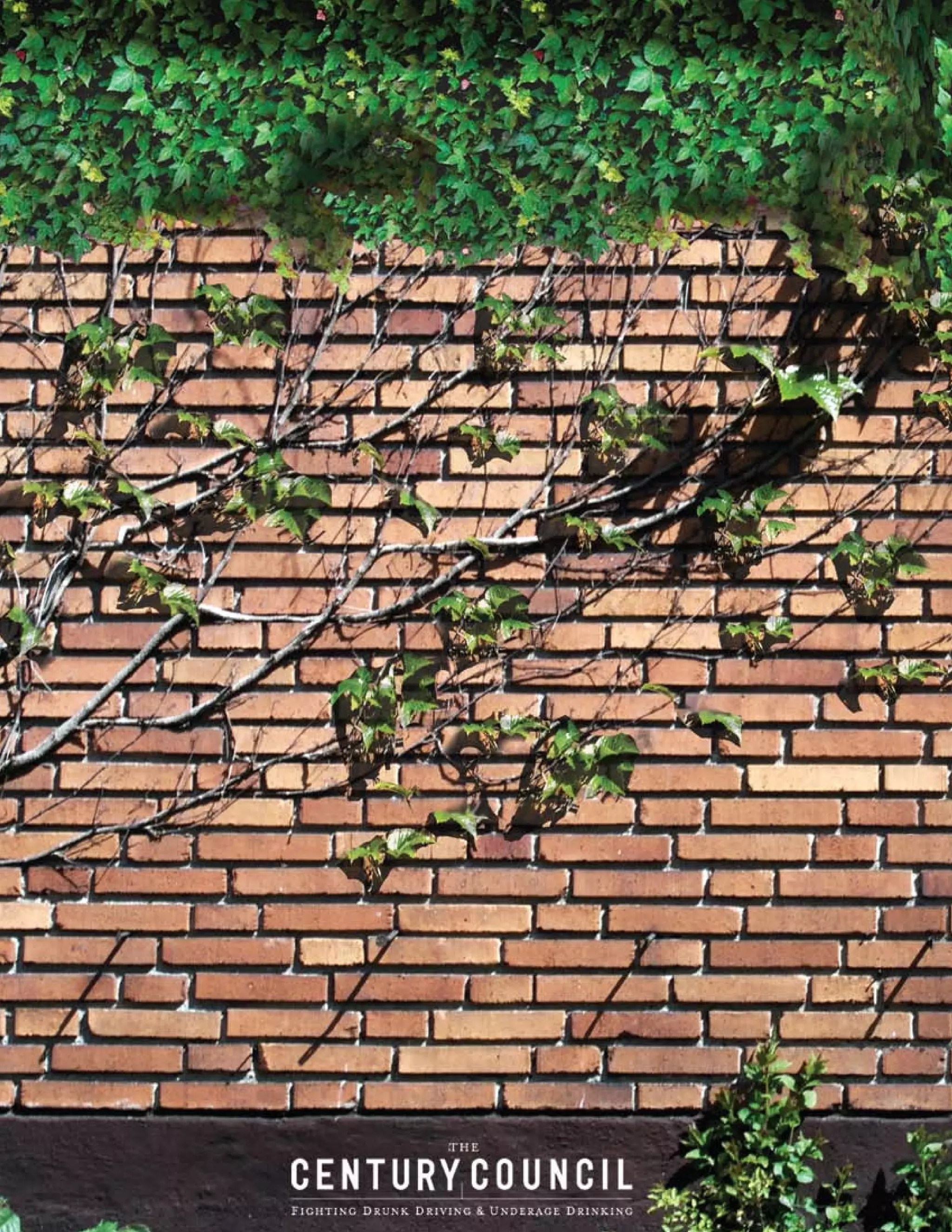 JWU Ad Team Plans Book 2009