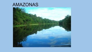 AMAZONAS
 