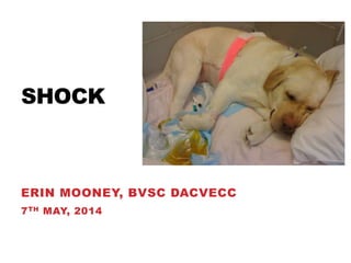 SHOCK
ERIN MOONEY, BVSC DACVECC
7TH MAY, 2014
 