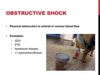 OBSTRUCTIVE SHOCK
• Physical obstruction to arterial or venous blood flow
• Examples:
• GDV
• PTE
• heartworm disease
• +/- pericardial effusion
 