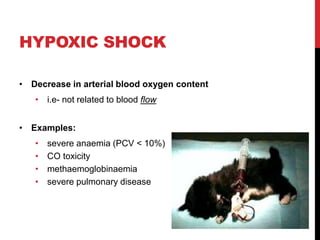 HYPOXIC SHOCK
• Decrease in arterial blood oxygen content
• i.e- not related to blood flow
• Examples:
• severe anaemia (PCV < 10%)
• CO toxicity
• methaemoglobinaemia
• severe pulmonary disease
 
