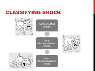 CLASSIFYING SHOCK
compensated
shock
early,
decompensated
shock
late,
decompensated
shock
 