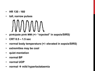 • HR 130 - 160
• tall, narrow pulses
• pink/pale pink MM (+/- “injected” in sepsis/SIRS)
• CRT 0.5 – 1.5 sec
• normal body temperature (+/- elevated in sepsis/SIRS)
• extremities may be cool
• quiet mentation
• normal BP
• normal UOP
• normal  mild hyperlactataemia
 