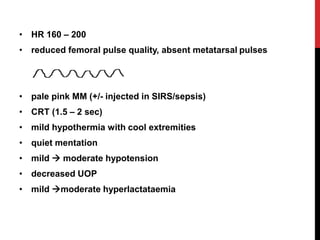 • HR 160 – 200
• reduced femoral pulse quality, absent metatarsal pulses
• pale pink MM (+/- injected in SIRS/sepsis)
• CRT (1.5 – 2 sec)
• mild hypothermia with cool extremities
• quiet mentation
• mild  moderate hypotension
• decreased UOP
• mild moderate hyperlactataemia
 