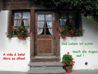 A vida é bela!
Abra os olhos!
Das Leben ist schön
mach die Augen
auf !
 