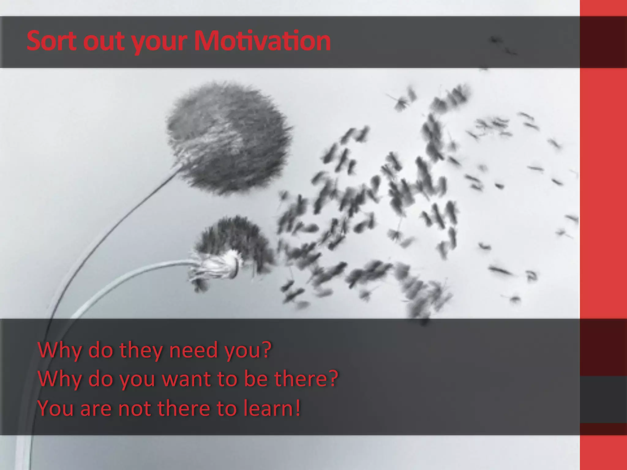 Sort	
  out	
  your	
  Mo&va&on	
  
Why	
  do	
  they	
  need	
  you?	
  
Why	
  do	
  you	
  want	
  to	
  be	
  there?	
  
You	
  are	
  not	
  there	
  to	
  learn!	
  
 