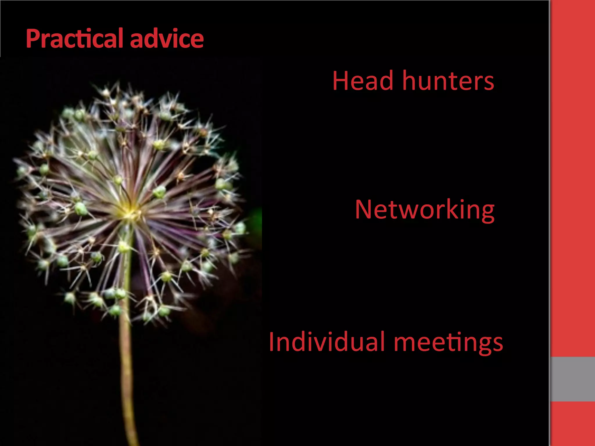 Prac&cal	
  advice	
  
Networking	
  
Head	
  hunters	
  
Individual	
  mee'ngs	
  
 