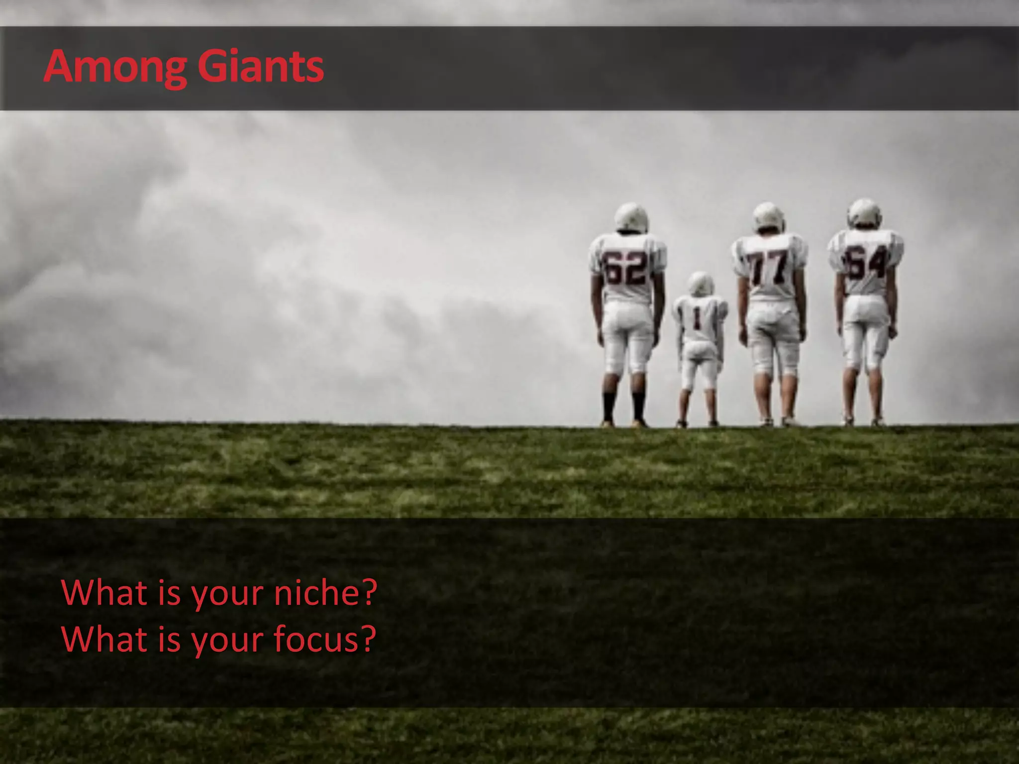 Among	
  Giants	
  
What	
  is	
  your	
  niche?	
  
What	
  is	
  your	
  focus?	
  
 