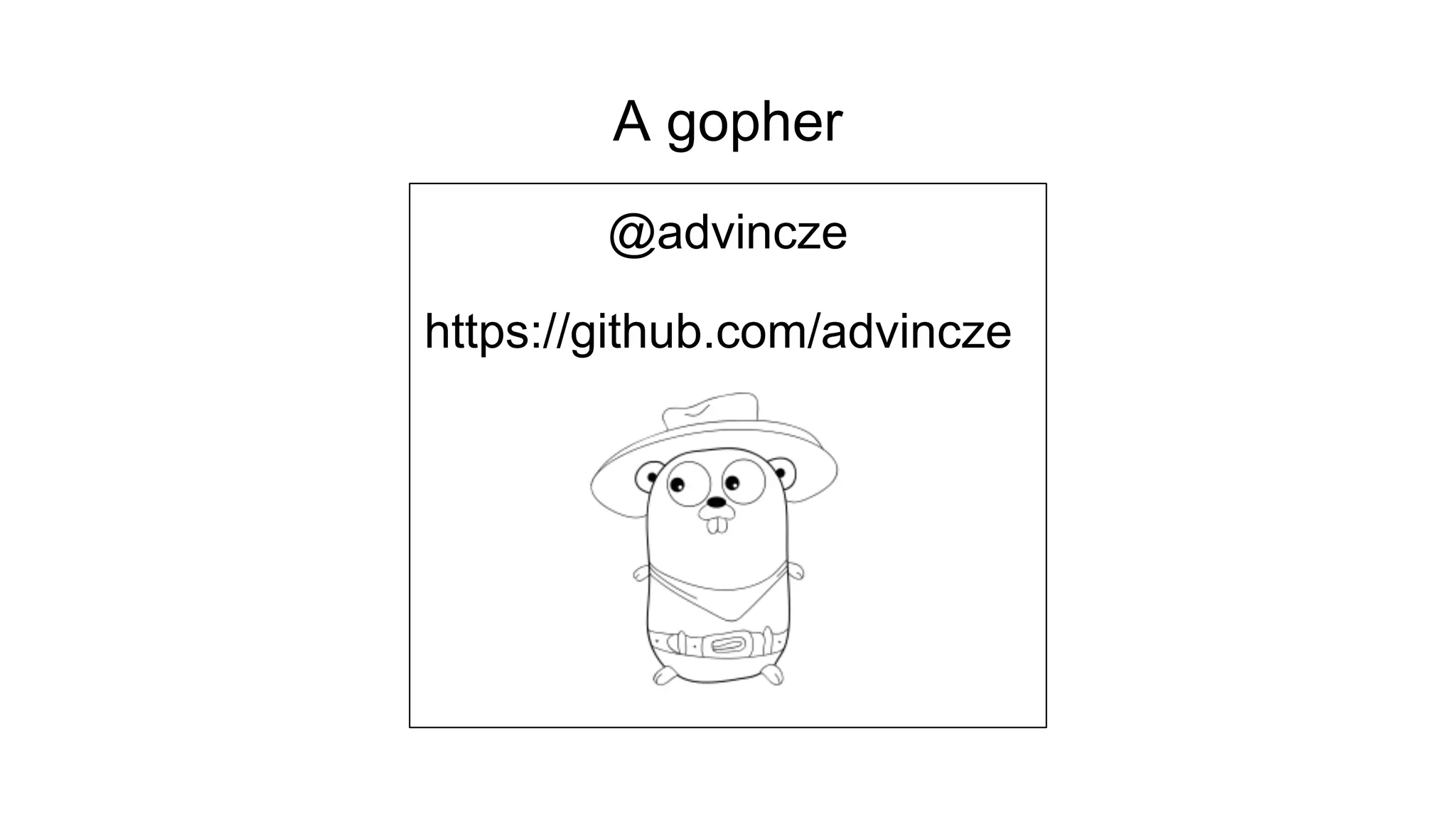 A gopher
@advincze
https://github.com/advincze
 
