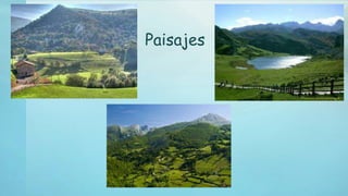 Paisajes
 