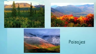Paisajes
 
