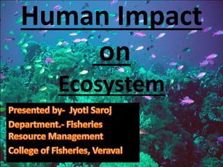 Human Impact
on
Ecosystem
 
