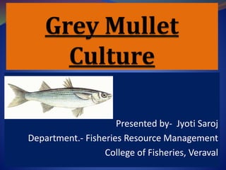 Presented by- Jyoti Saroj
Department.- Fisheries Resource Management
College of Fisheries, Veraval
 