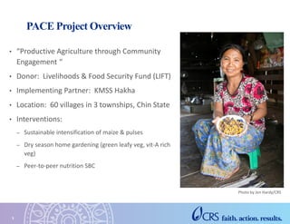 PACE Project Overview
• “Productive Agriculture through Community
Engagement “
• Donor: Livelihoods & Food Security Fund (LIFT)
• Implementing Partner: KMSS Hakha
• Location: 60 villages in 3 townships, Chin State
• Interventions:
– Sustainable intensification of maize & pulses
– Dry season home gardening (green leafy veg, vit-A rich
veg)
– Peer-to-peer nutrition SBC
3
Photo by Jen Hardy/CRS
 