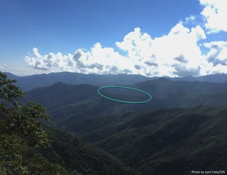 Production Diversity and Market Access for Predicting Animal-source Food Consumption