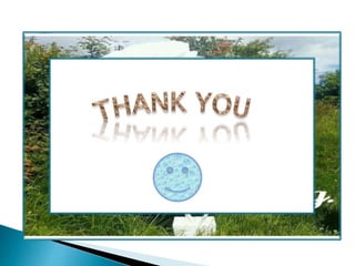 jyoti PT  sub-centre.pptx